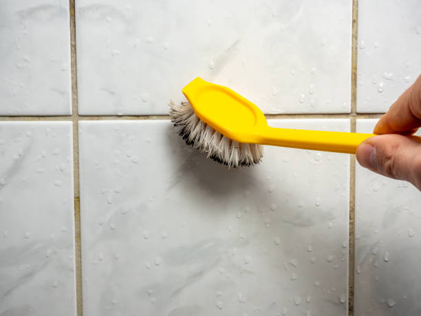 Best Office Mold Removal Services  in Magnolia, OH