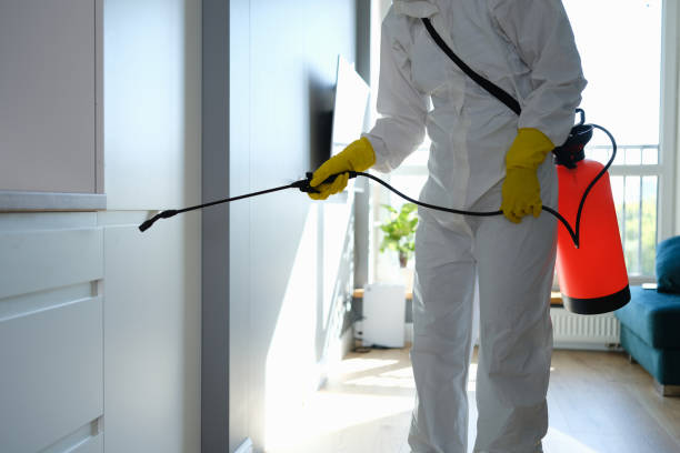 Best Mold Inspection  in Magnolia, OH