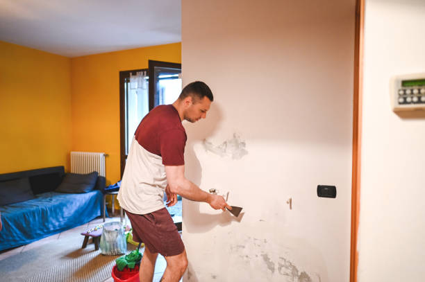 Best Mold Remediation  in Magnolia, OH